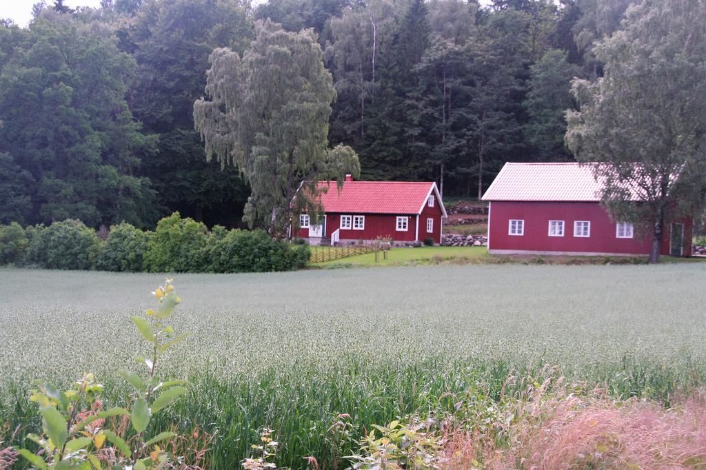 Wraen Svartrå Zewnętrze zdjęcie